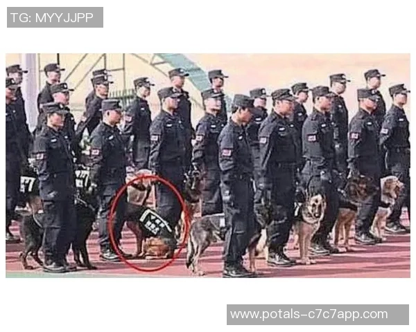 乌拉尔与托斯诺激战正酣谁能在这场对决中笑到最后